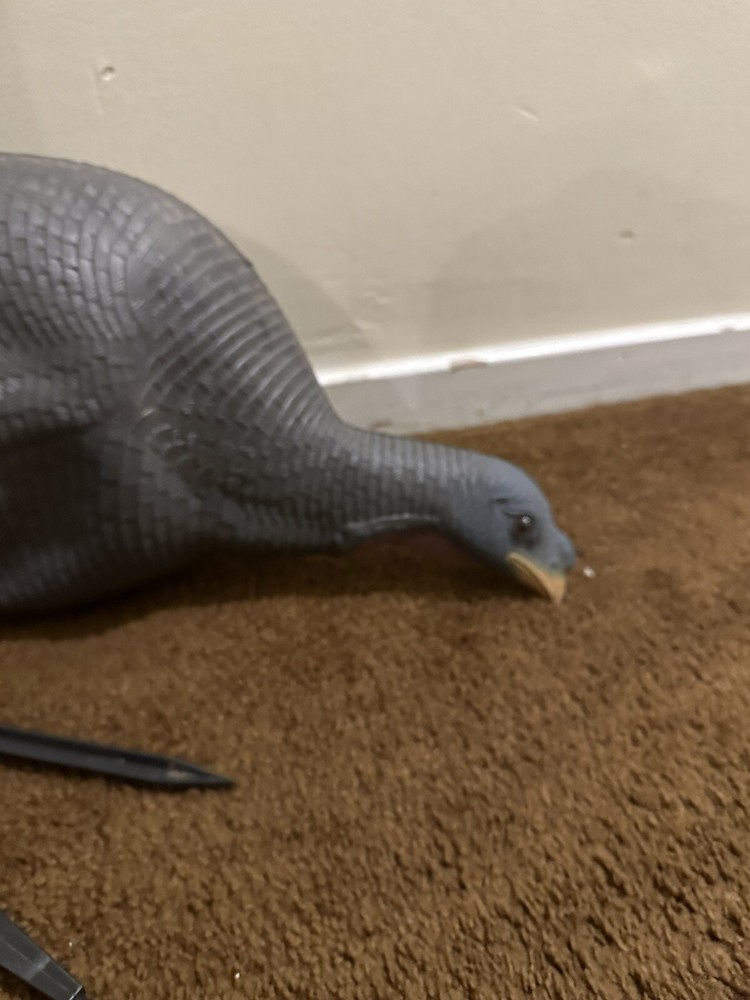turkey decoy used