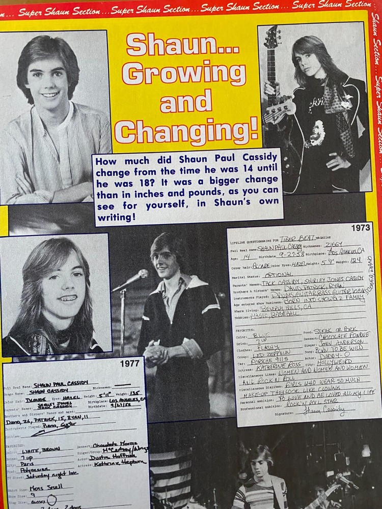 Shaun Cassidy, Full Page Vintage Clipping