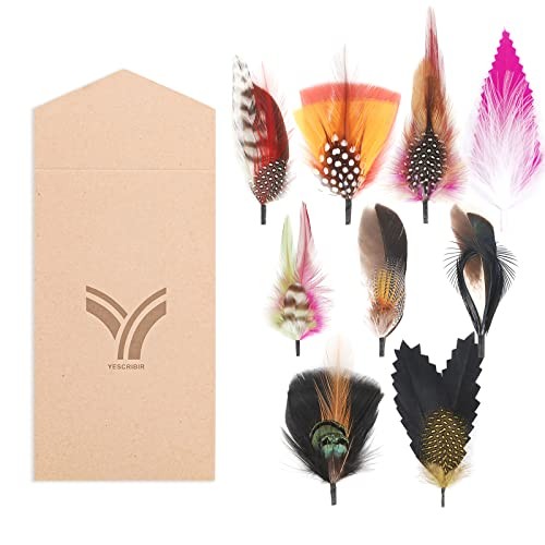Hat Feathers, 10 Pcs Assorted Natural Feather Packs One Size 9 Pcs-3