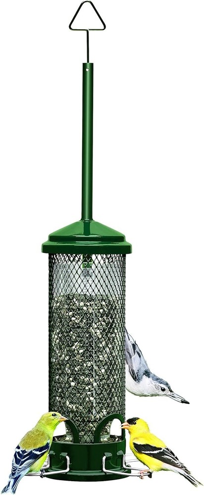 Brome Squirrel Buster Mini Bird Feeder, Squirrel Proof