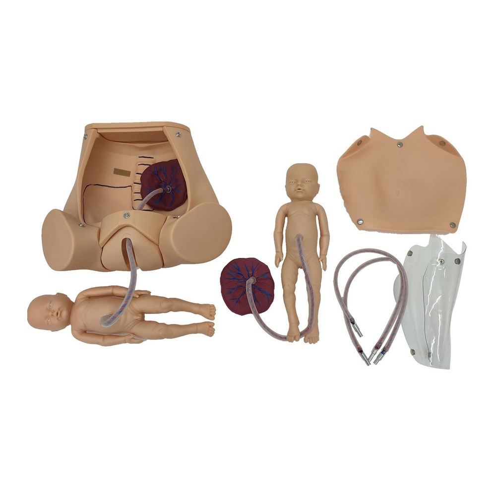 Female Childbirth Model Simulation Childbirth Comprehensive Skill Training Model