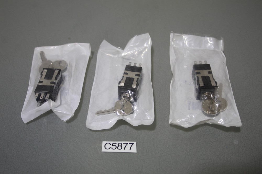 3XKey Switch, Double Pole Double Throw (DPDT)(C5877-R13)
