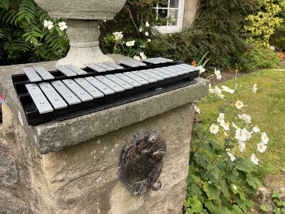 30 Note Glockenspiel and Carrying Case with Strap