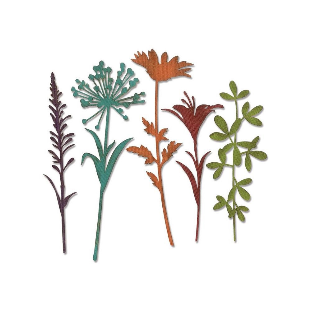Sizzix Thinlits Tim Holtz Wildflower Stems #2 5 Dies 664164 Mixed Media