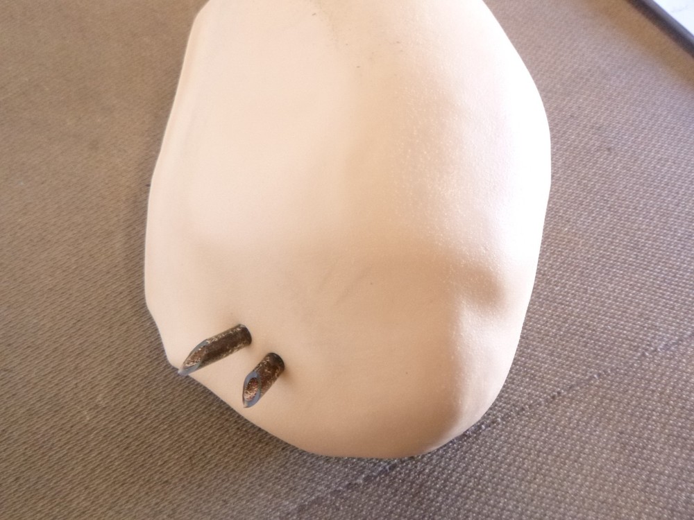 Nasco Life/Form IV Injection Training Arm