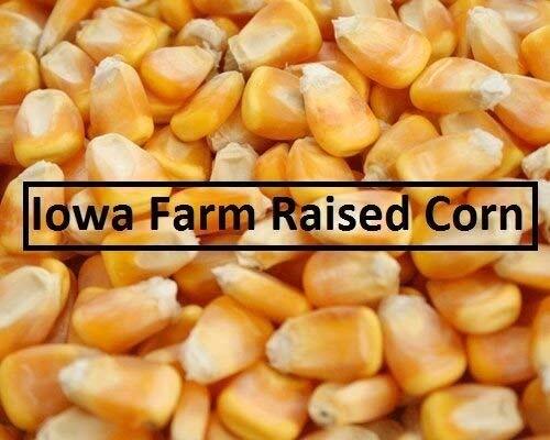 25 lb Whole Kernel Yellow Corn