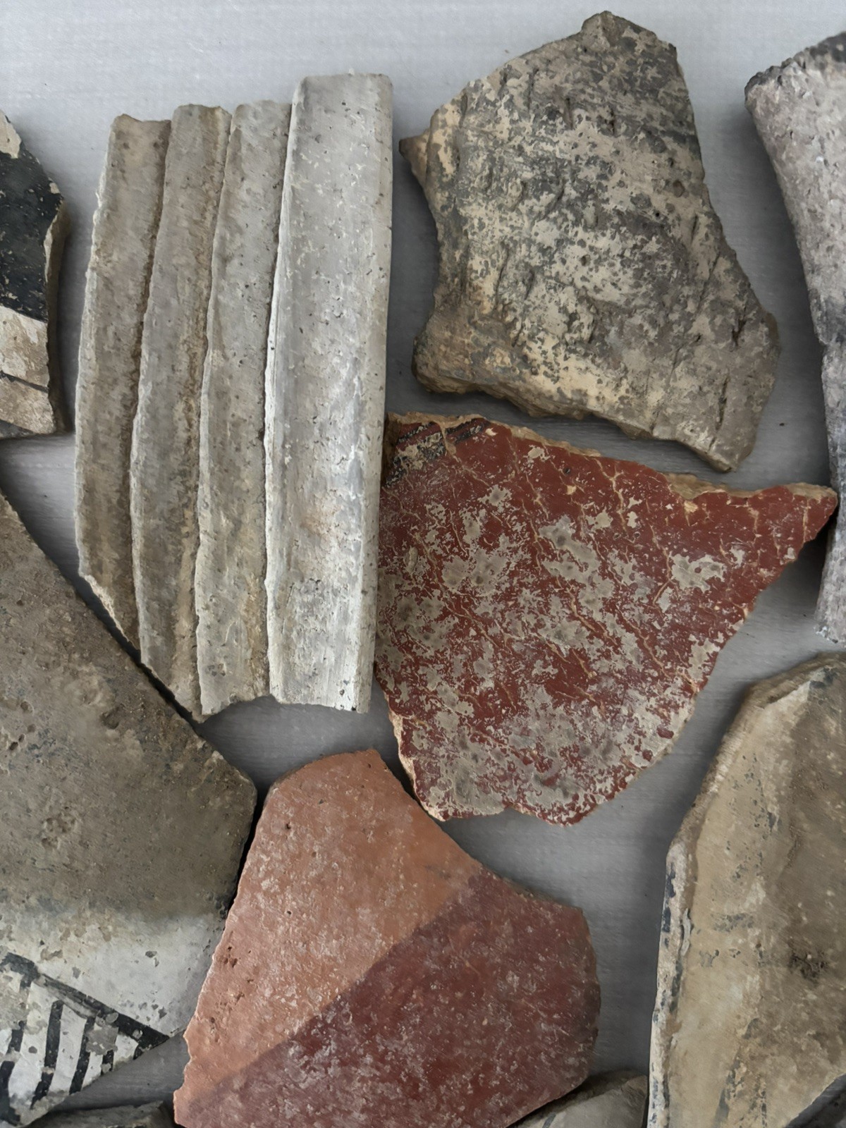 Ancient Anasazi Native American Pottery Shards Arizona L8F FREE SHIP