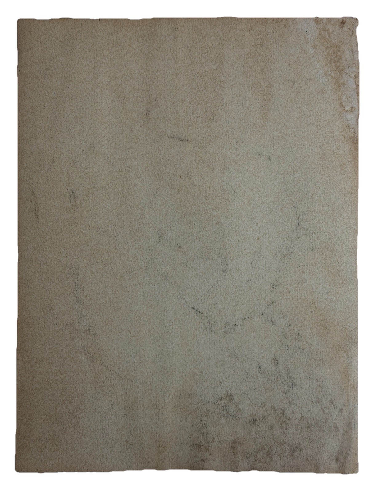 Vintage Original Disney Squirrel Hand Drawing Signed Art