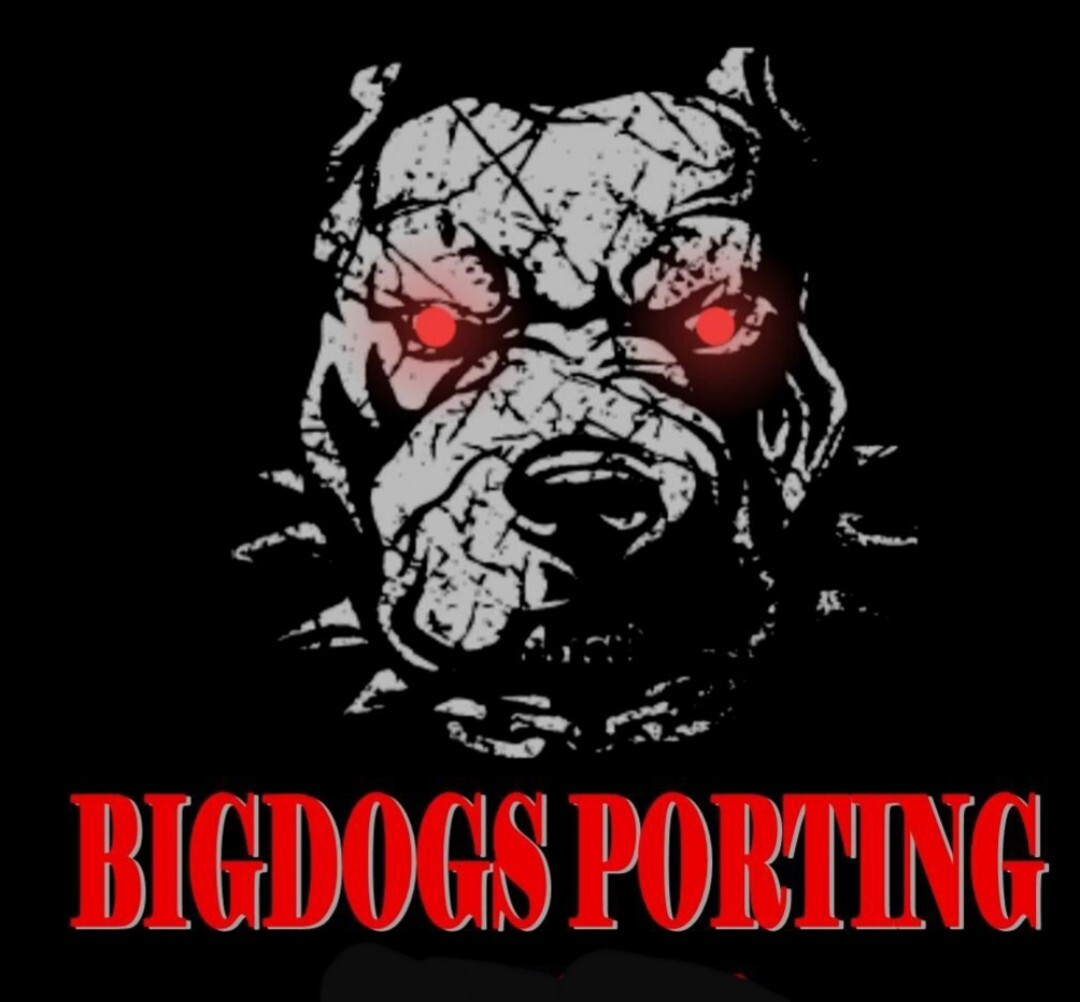 1986-95 STAGE 3 Explorer GT40 Intake manifold from BIGDOGS PORTING!