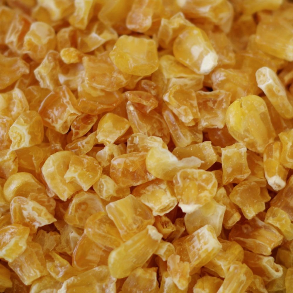 Corn, Sweet #10 Can x 1