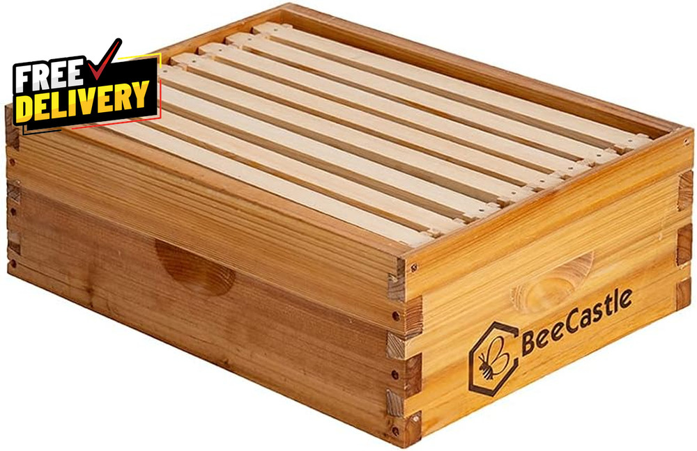 8-Frame Medium Langstroth Bee Hive Box Wax Dipped w Frames Wax Foundation