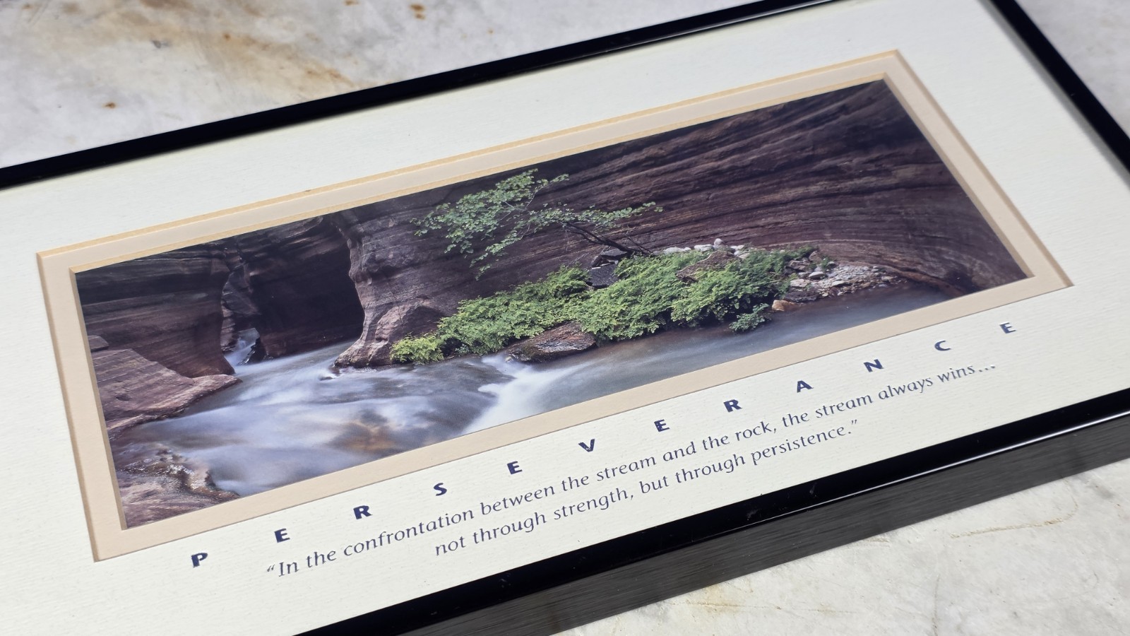 "PERSEVERANCE" Professional Framed Artwork - DECOR