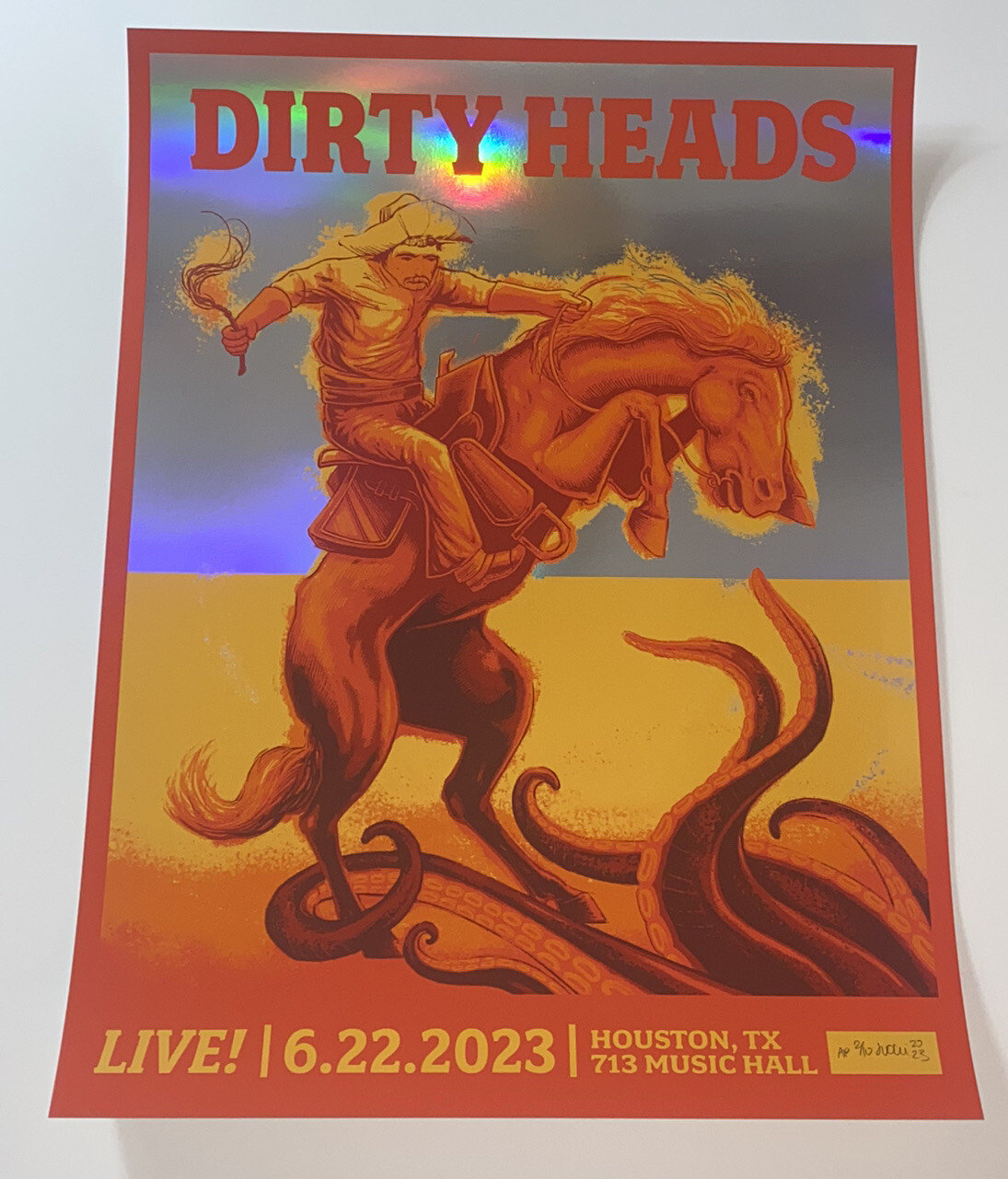 Dirty Heads Poster 713 Music Hall Houston TX 23 Silkscreen FOIL Low Run S/N X/10