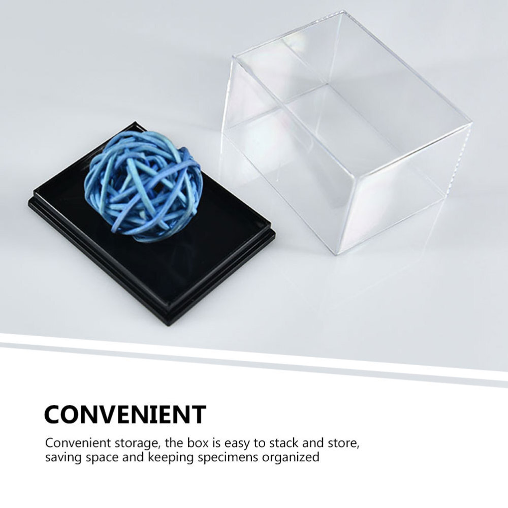 4 Pcs Plastic Specimen Display Containers Clear Boxes for Mineral Sample Storage