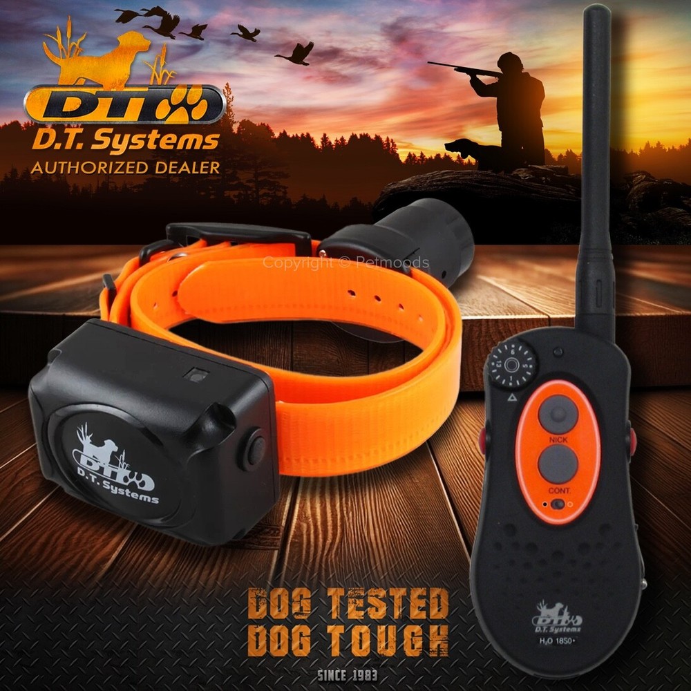 DT Systems H2O 1850 PLUS Remote Dog Trainer Beeper