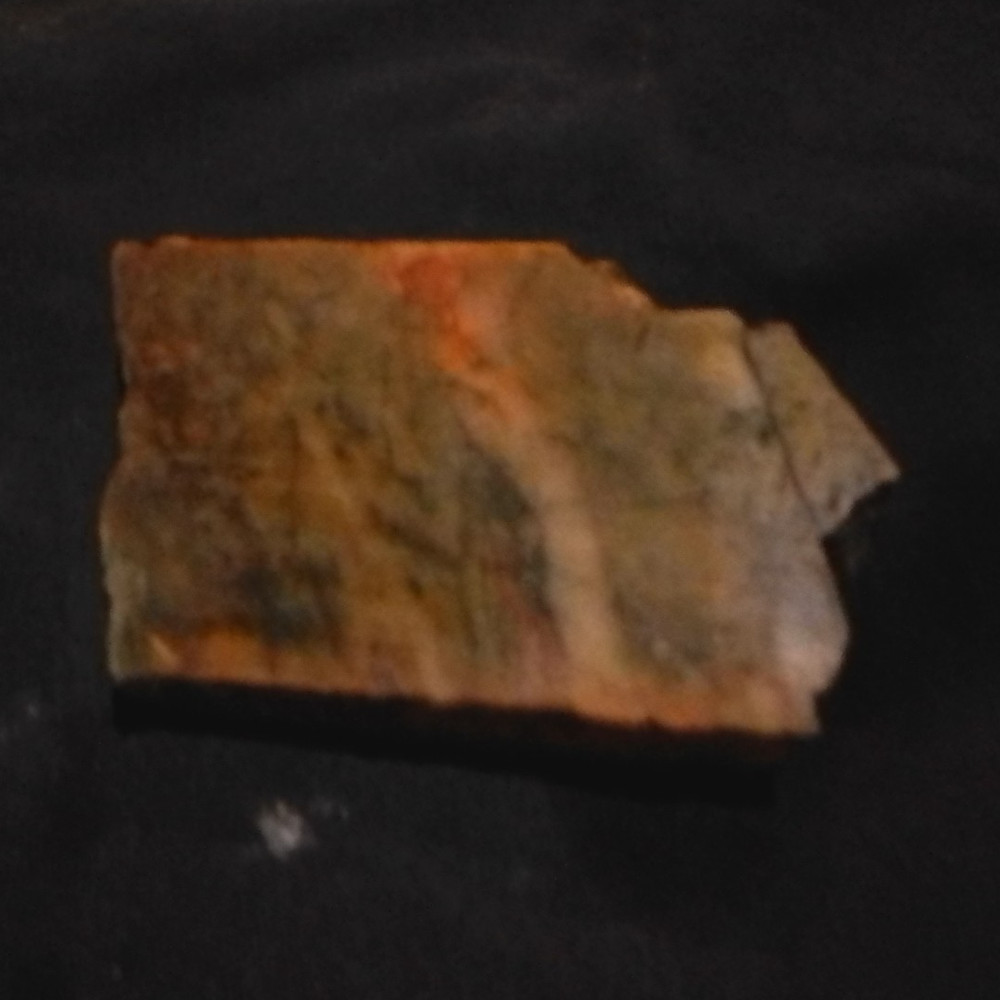 Rectangular Petrified Wood Fossil Slab