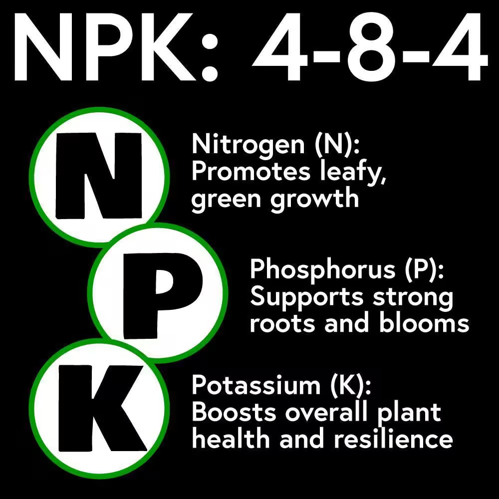 Root Boost Pint Concentrate