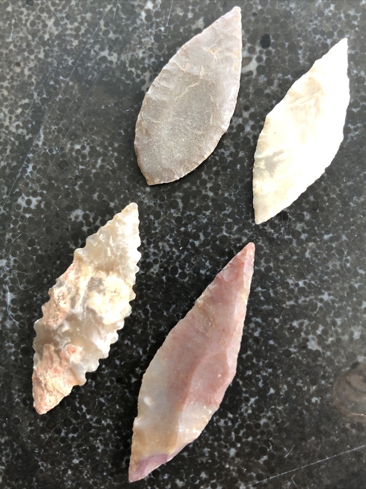 Very Rare Thin Finest Western Sahara 4 Neolithic Translucent Points Pristine A+