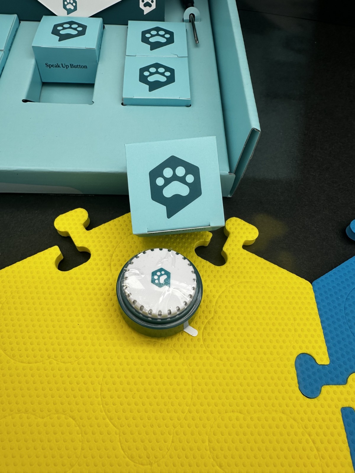 FluentPet Key Vocabulary – 12 Buttons + 6 Tiles – New Box – Excellent Condition