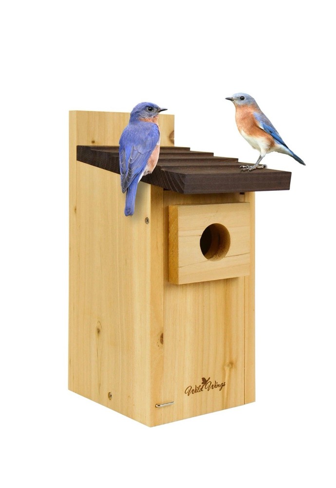 Cedar Blue Bird Box House for Backyard Nesting - Durable & Weatherproof