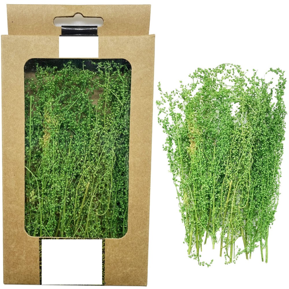 Miniature Shrubs Model Bushes Long Shrub Vegetation Groups Static Grass Tuft ...