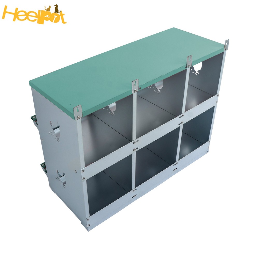 Green 6 Compartments Chickens Egg Laying Box High Quality Materials Nesting Box