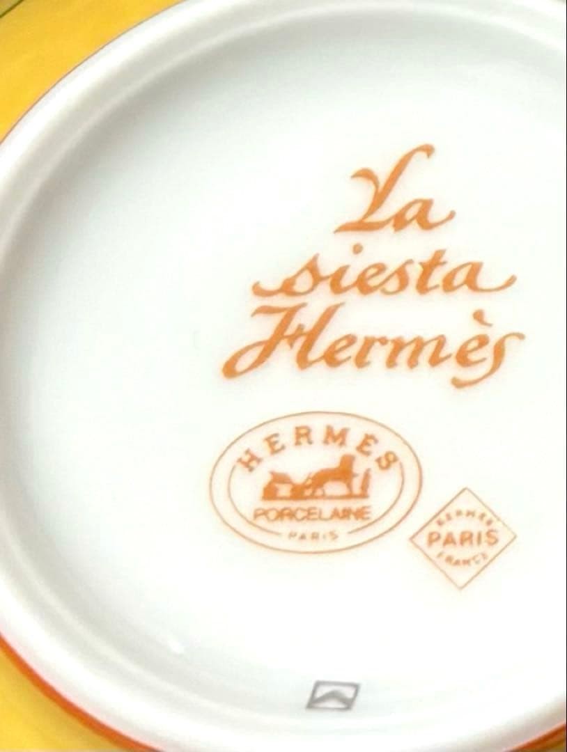 Hermes Siesta Teacup & Saucer Brand New Unused with Original Box Included