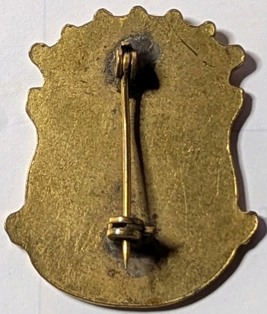 223rd Infantry Regiment Unit Crest D.I. - Screen Printed Variation - US Army PB