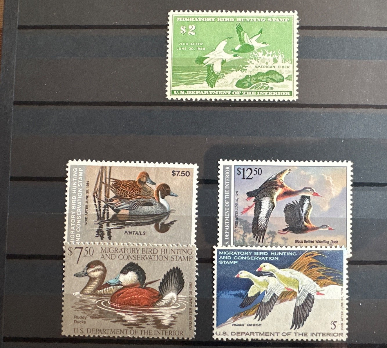 RW24 and other 1957 Federal Duck Stamp Mint Light Hinged