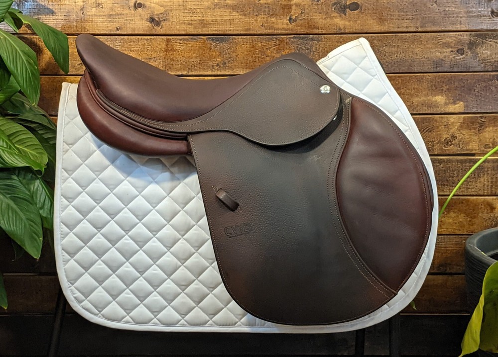 17.5″ CWD SE02 3C (2017) *Long/Forward Flaps*