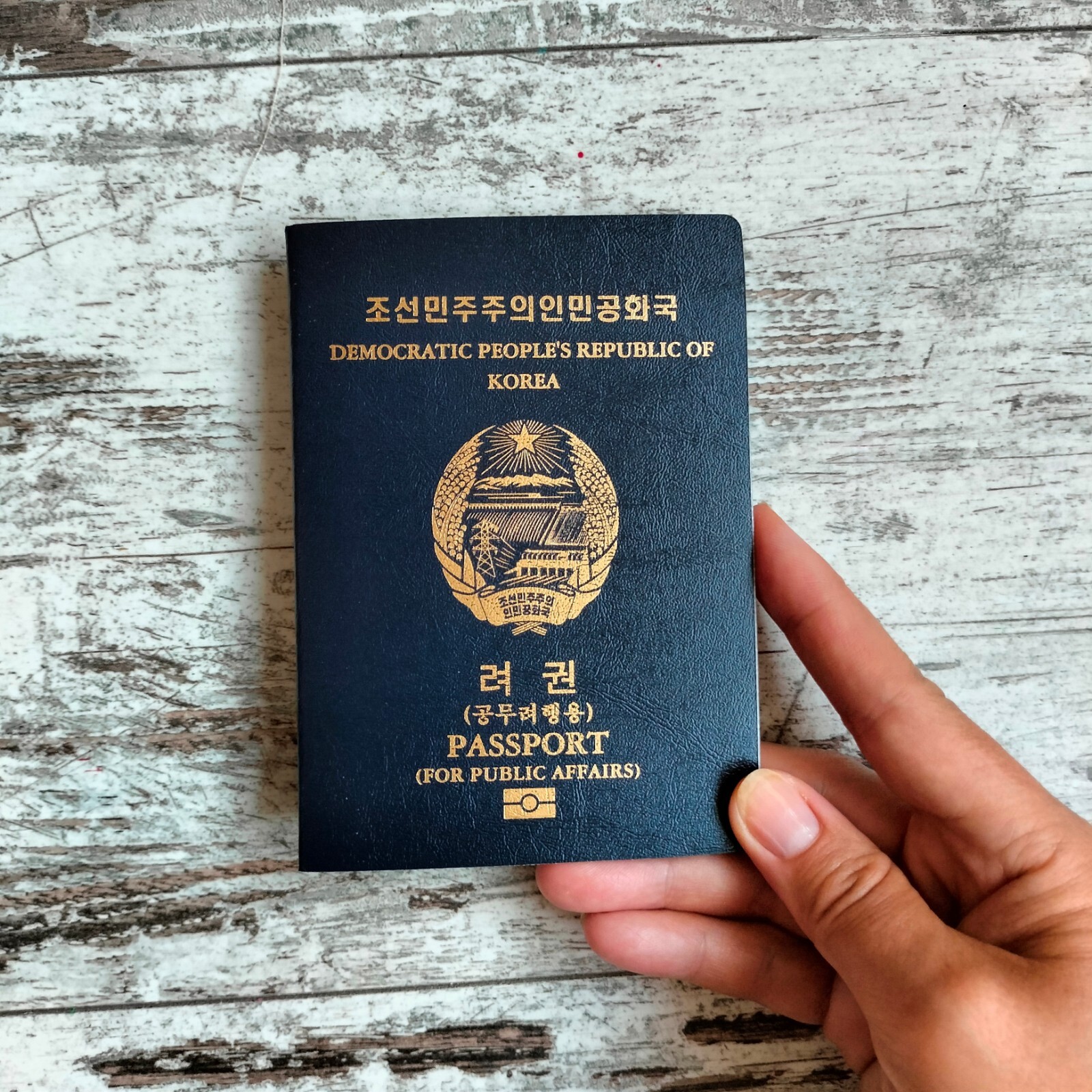 North Korea passport prop. Novelty passport cosplay. Play passport notebook.