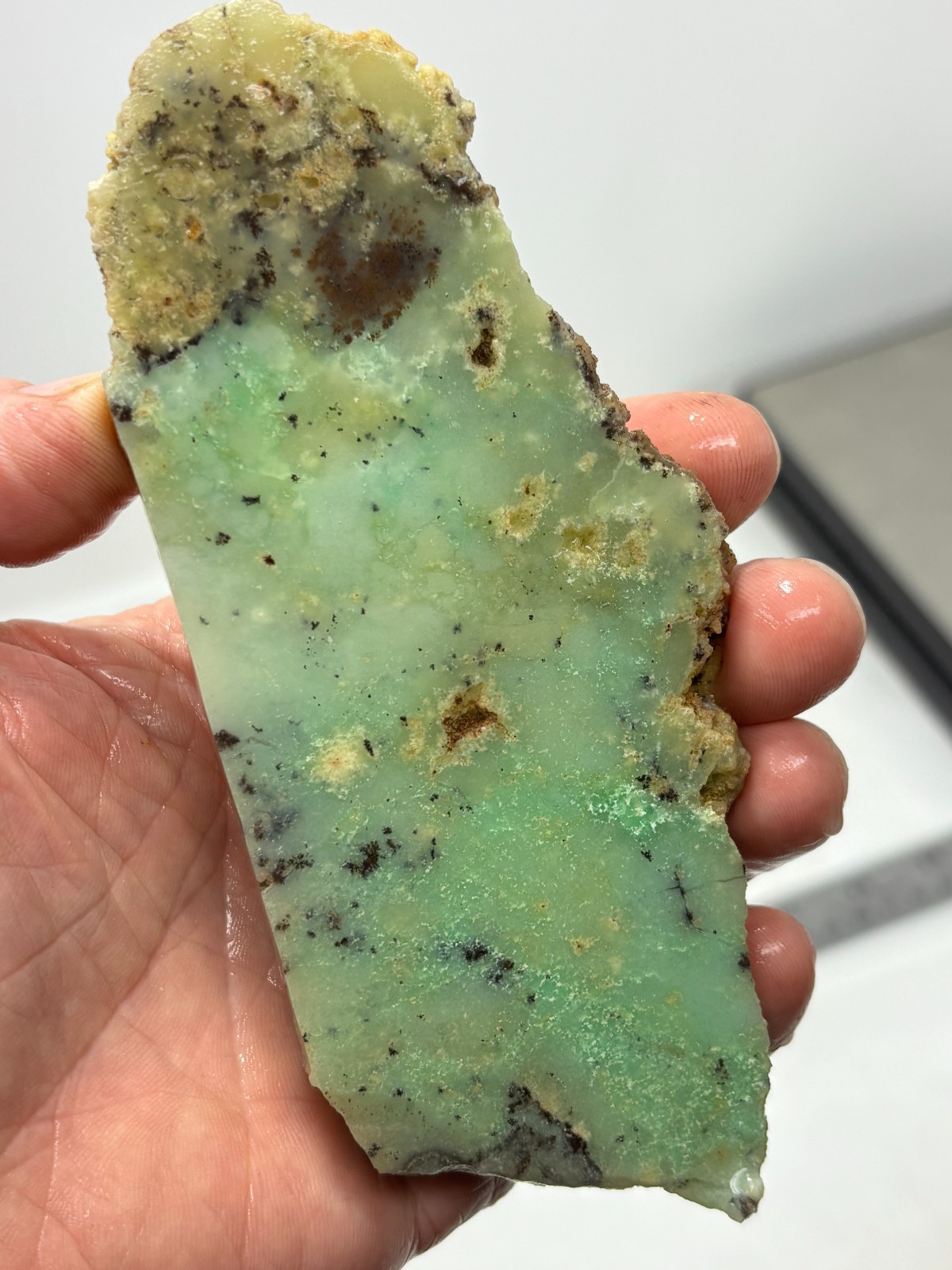 Indo Dendritic Chrysoprase Slab Cabbing Lapidary Collecting Combo Ship Avail
