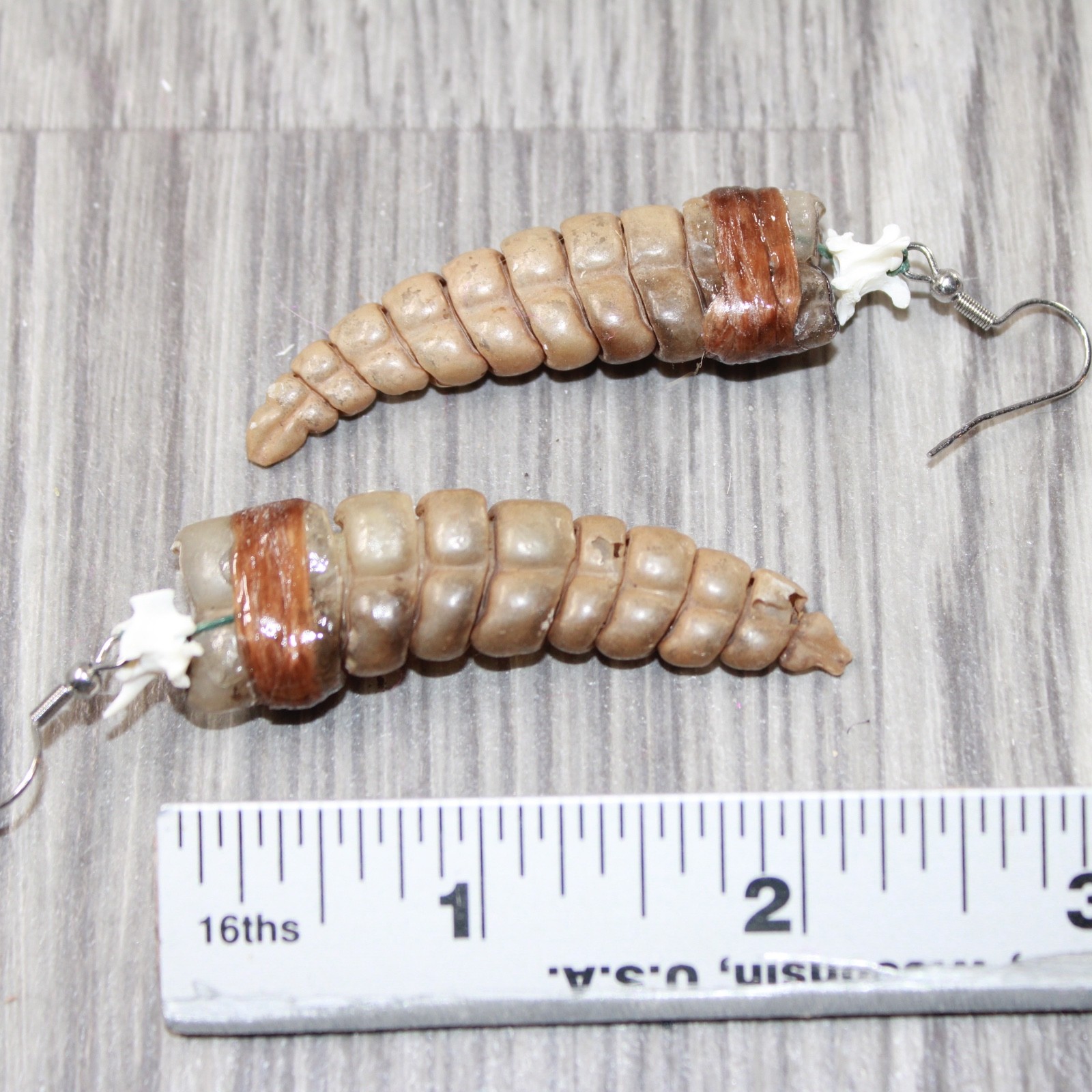 Very Large Rattlesnake Rattle Earrings #6163 Mountain Man Earrings