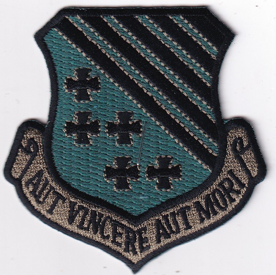 1st Fighter Wing patch USAF US Air Force muted