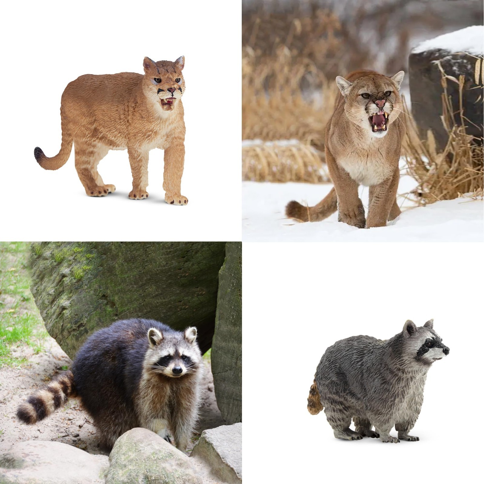 Toymany Forest Animal Figurine Playset Collectible Toy Set