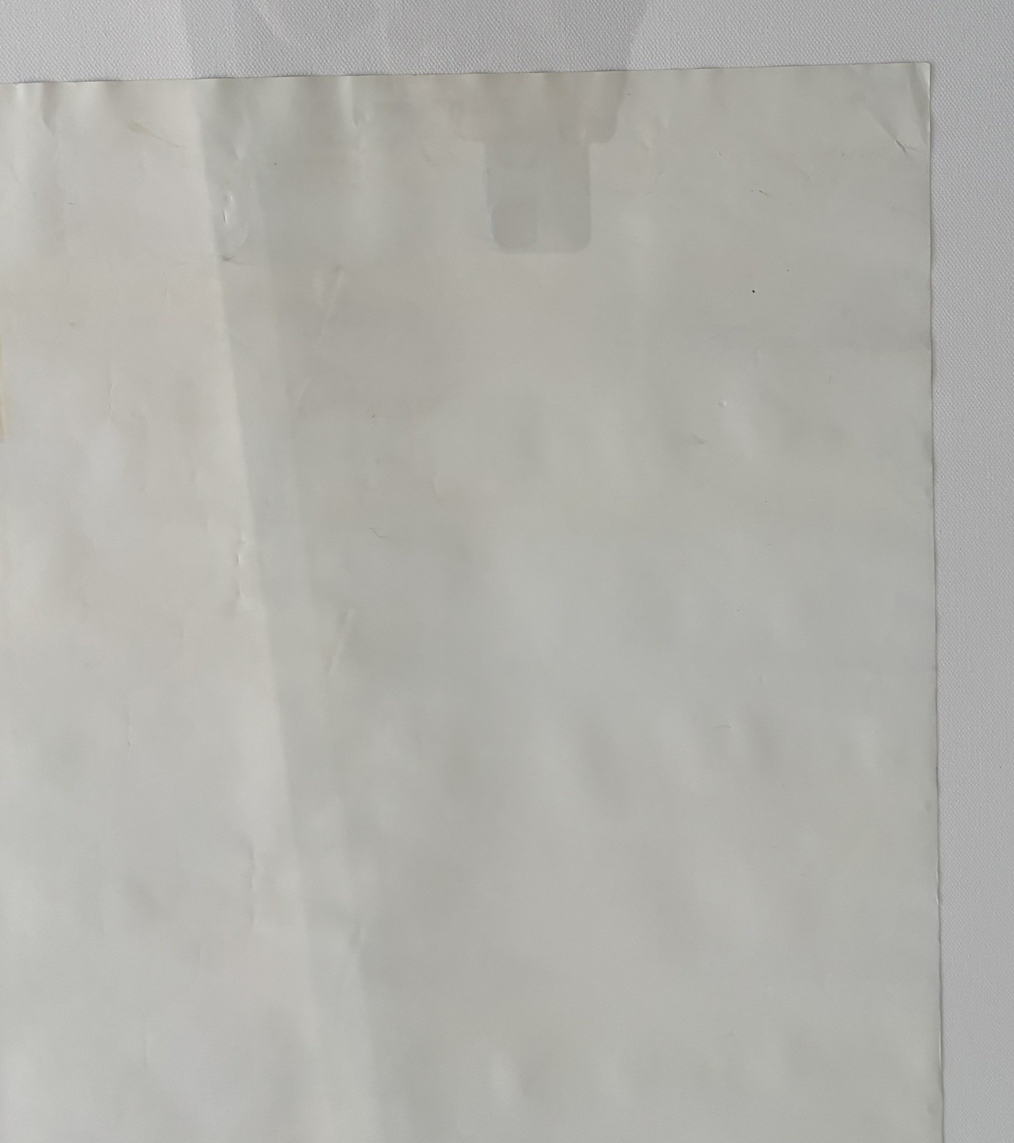 Original Campagnolo Vince CyclingPoster1986 World Championships ColoradoSprings