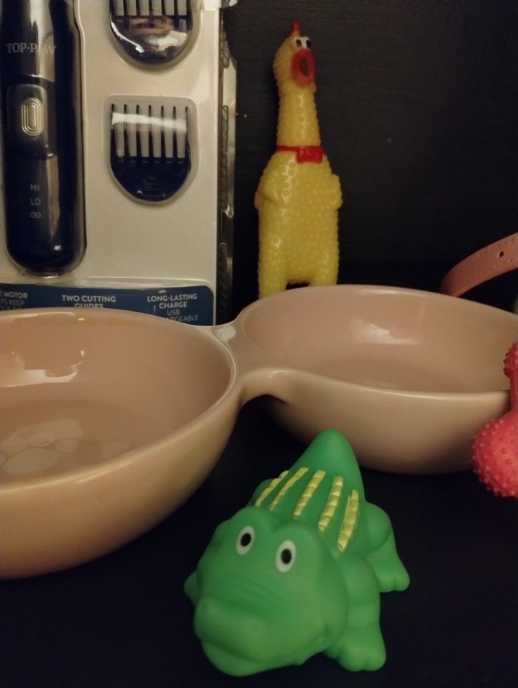 dog supplies pet stuff lot/bundle