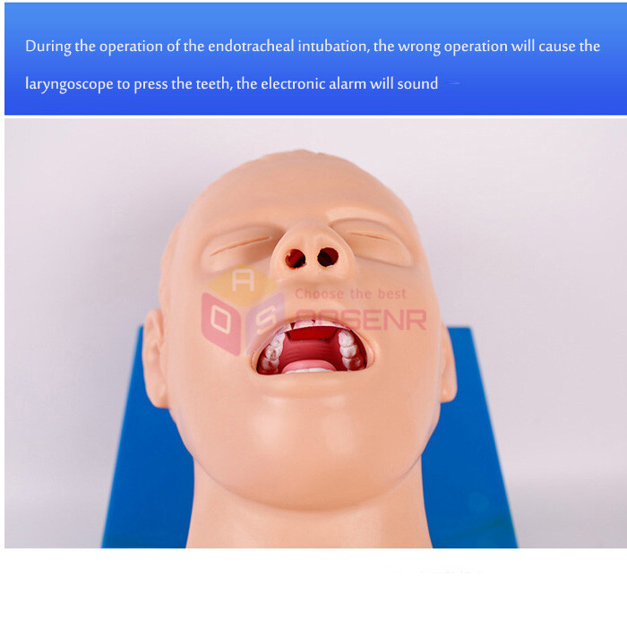 Intubation Manikin Study Teaching Model Training Manikins Patient Simulators