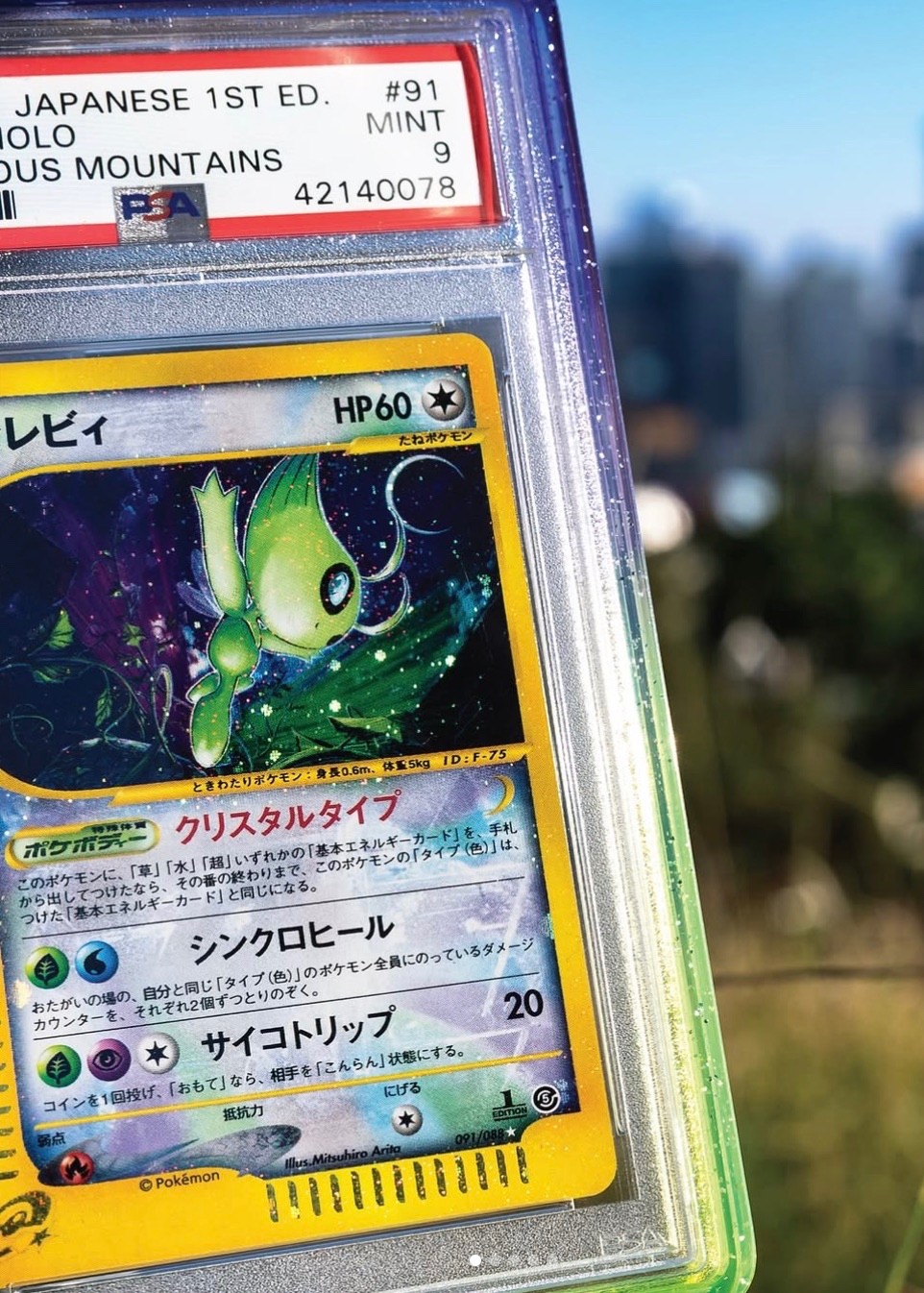 GradedGuard PSA Graded Card Case Trick Or Treat Witch's Brew Limited Edition