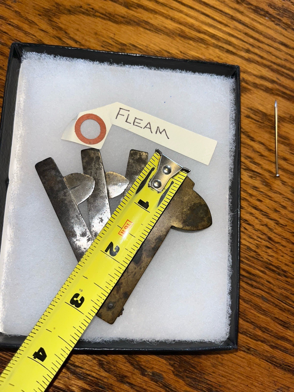 Antique 3 Blade Bloodletting Fleam In Display Box, Glass Top