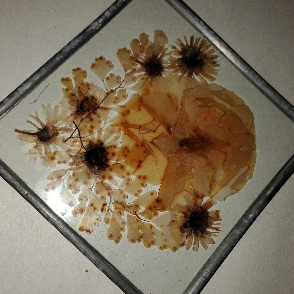 Pressed Flower Window Suncatcher x 2