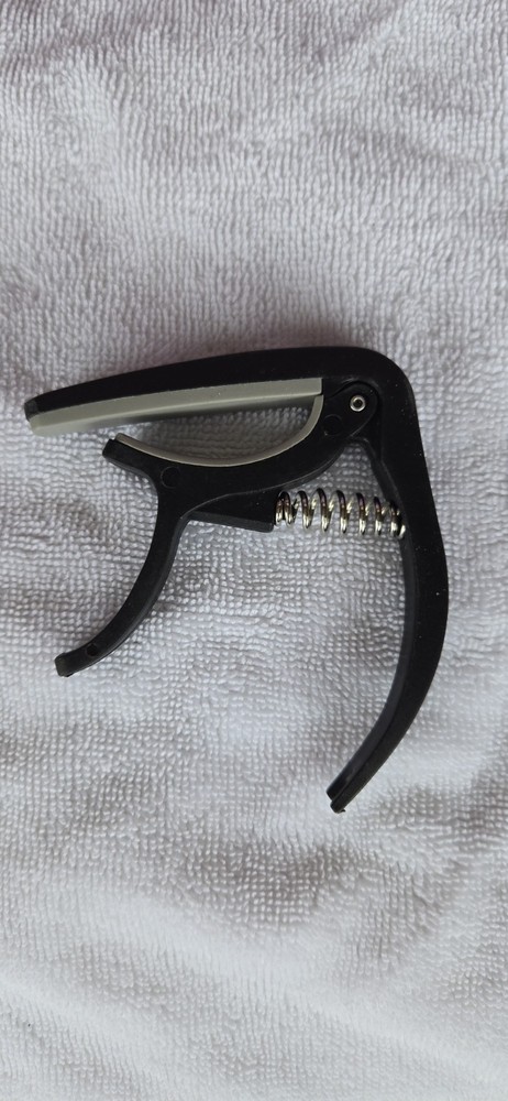 Guitar Capo And Strings