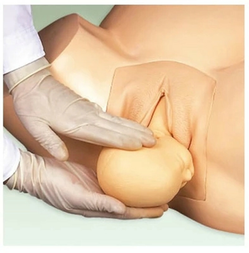 Midwifery Training Simulator,Advanced Vacuum Delivery Simulator