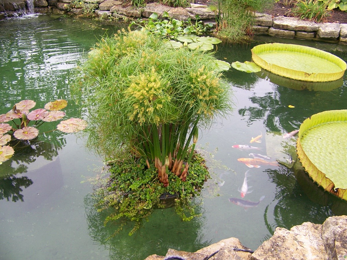 24" Floating Island Pond Planter-plant-koi-water garden-pool-aquatic-fish-flower