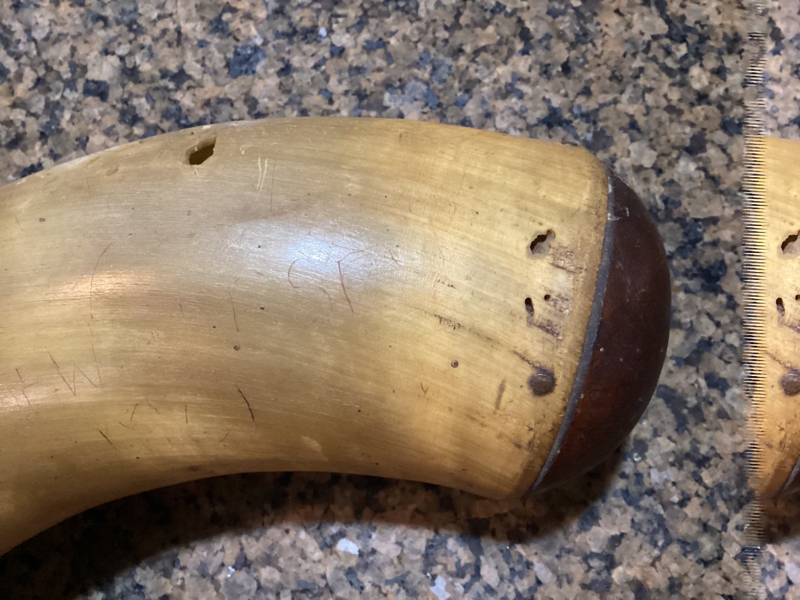 Large 18” Antique Powder Horn Engraved 1st New Jersey 1861