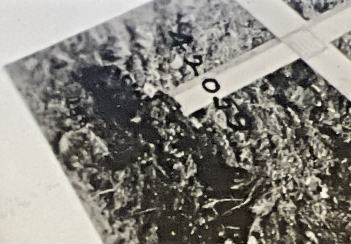 World War I Original Official US Photo Graves Of 324th Infantry Regiment 1918