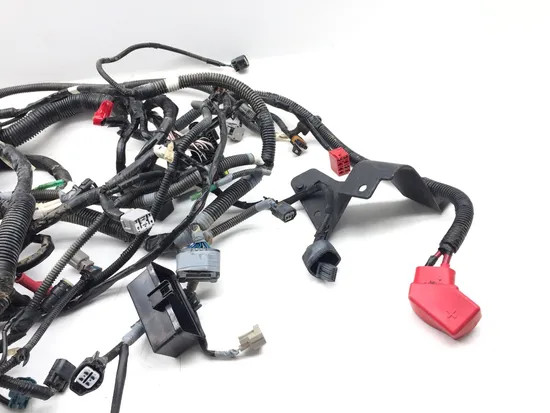 Kawasaki 2021 Teryx KRX 1000 KRF1000 Main Engine Wiring Harness 3392