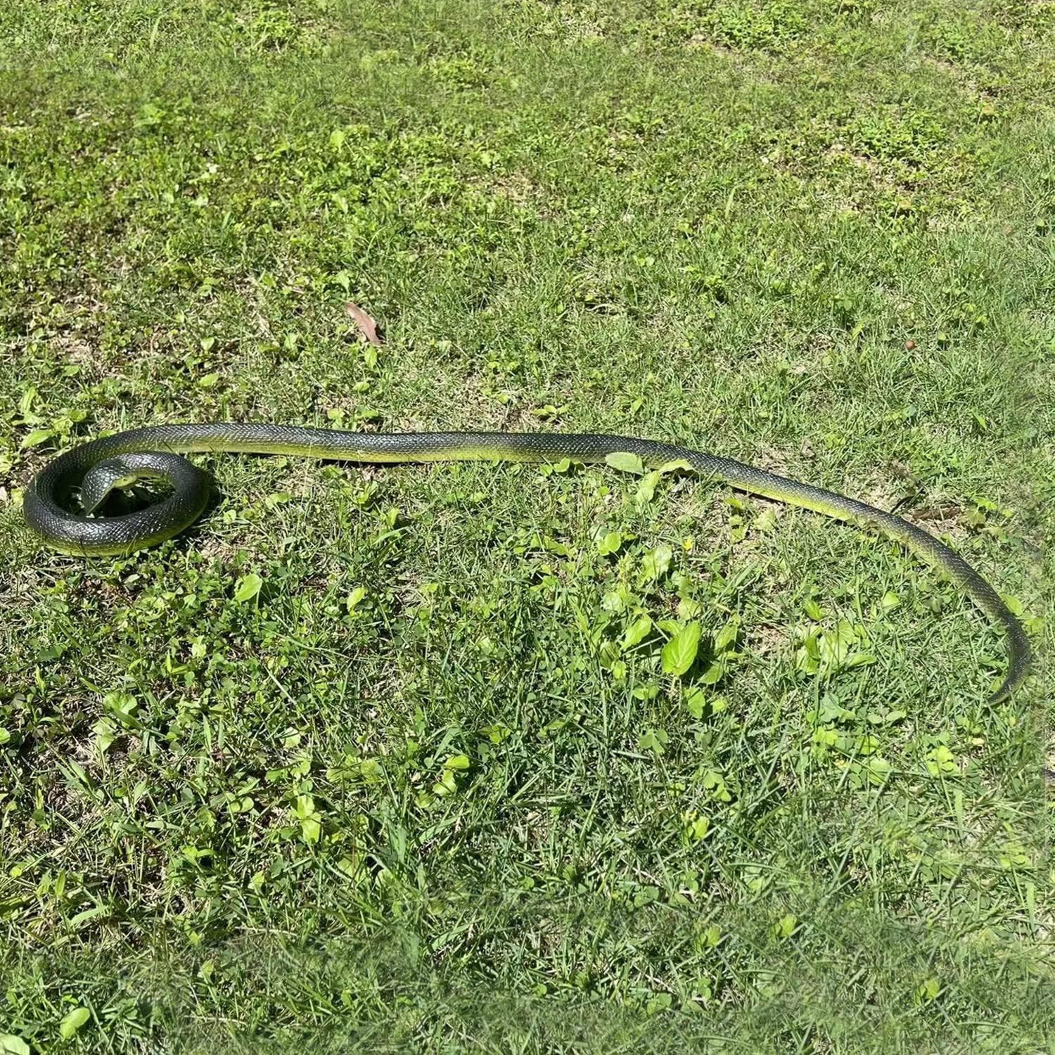 Realistic Rubber Snake - Scary Fake Snake for Bird Deterrent, Large Black Cobra