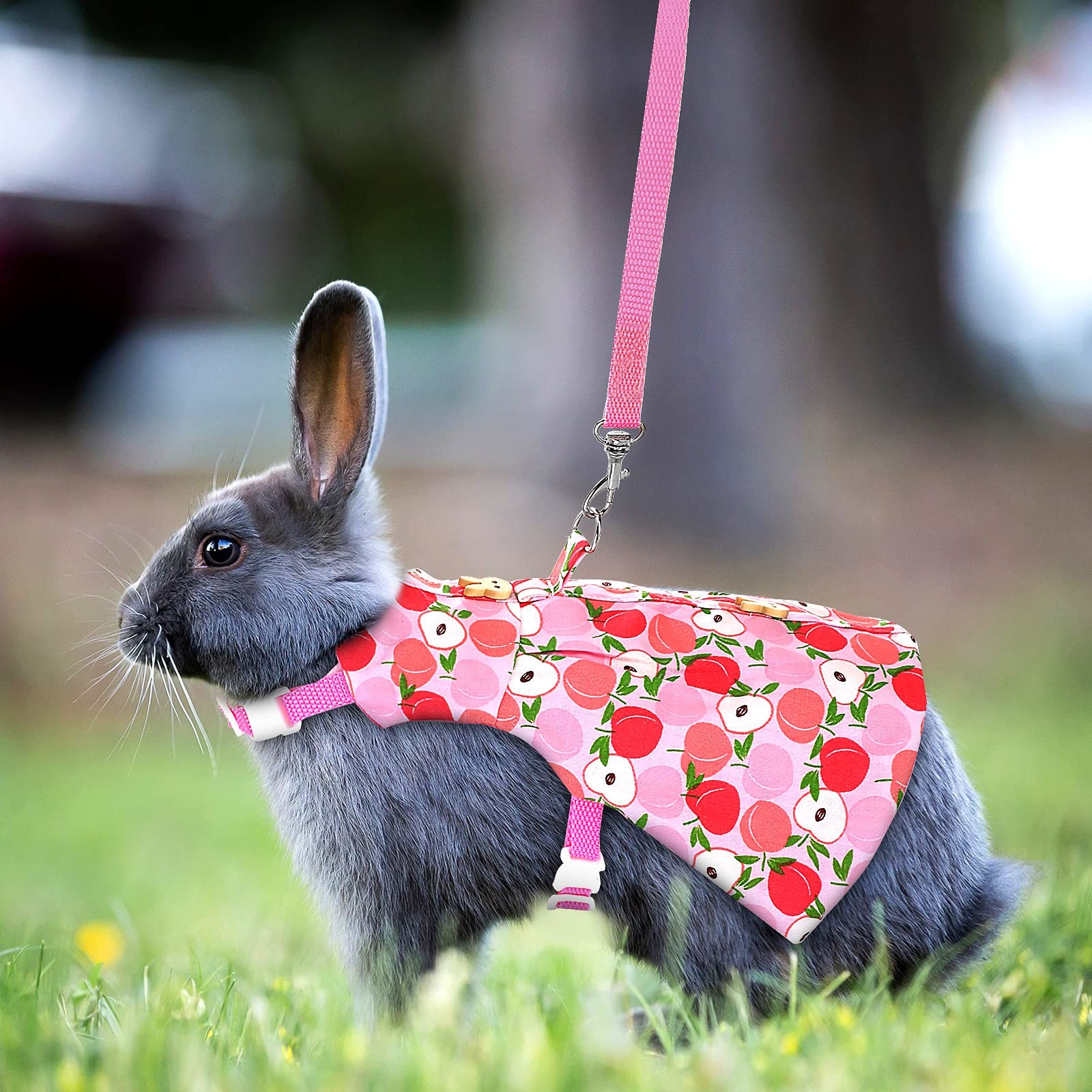 3 Sets Rabbit Bunny Harness and Leash, Cute Easter Bunny Clothes for Rabbits ...