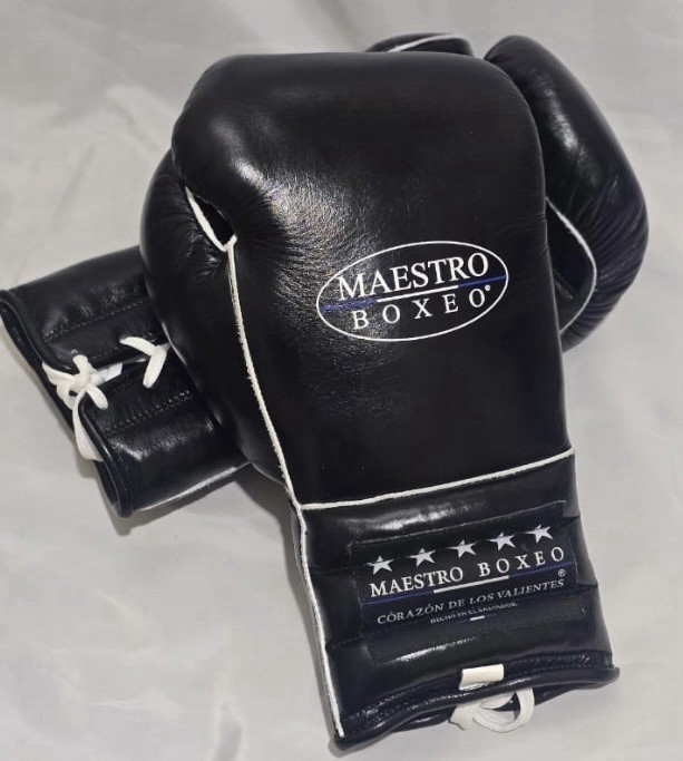 Maestro Boxeo